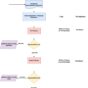 Renewal_of_License_Flowchart.jpg