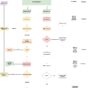 Process_Flow_Chart_Variation.jpg