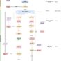 Process_Flow_Chart_New_Premises.jpg
